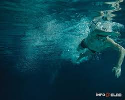 Another masterpiece of gregorio paltrinieri: Gregorio Paltrinieri Open Sea Swim For 10 Km