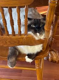 Now how is that comfortable Mando ? 😆