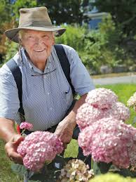 We did not find results for: It S A Phenomenal Year For Hydrangeas