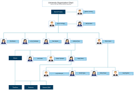 Organizational Chart Template 3 Organizational Chart