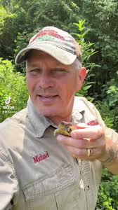Rescue and release an juvinal Eastern Three Toe Box Turtle, next to a  mulberry tree across the creek! #animalfacts #animalexpert #animals  #wildlife #barehandsberan #barehandsrescue ...