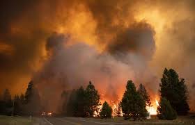 Informações sobre os fogos em aveiro, beja, braga, bragança, castelo branco, coimbra, évora, faro, guarda, leiria, lisboa, portalegre, porto, santarém, setúbal. Incendio Dixie Destroi Cidade De Greenville Na California 05 08 2021 Mundo Fotografia Folha De S Paulo