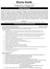 Treasury Supervisor Resume Sample Professional Resume Samples Professional Resume Writing Service Best Resume