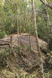 Keindahan gunung jerai memang buat orang rasa rindu nak datang lagi.tempat riadah umum yang terletak di gunung jerai di dalam daerah yan,kedah#. Gunung Jerai Mitos Lagenda Dan Misteri Masam Manis
