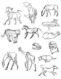 Casey Hunt Gesture Drawing Tool Animals Gesture Drawing Life Drawing Animal Drawings