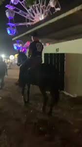 DE VOLTA AOS CONTEÚDOS ---EXPOAGRO GV 2023 🔥 #expoagro  #mangalargamarchador #cavalo #agro #pecuaria #fyp