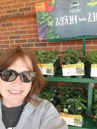 Seed starting mix for my plants