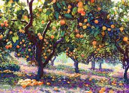 It is also the traditional way to protect fruit tree trunks from heat and sun is to paint them with a thick coat of lime and water. Orange Grove Of Citrus Fruit Trees Painting By Jane Small