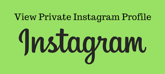 Check spelling or type a new query. 5 Tools To View Private Instagram Profile Updated 2021