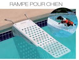 Site Ferme Rampe Pour Chien Piscine Chien Chien