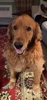 It was a sad birthday for Trippie Redd. ☹️