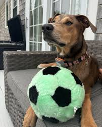 This week, our team had the opportunity to attend an insightful Lunch &  Learn with Sanjay Akut, Founder & CEO of TukaTek,