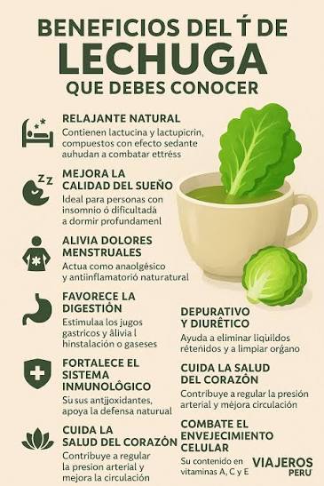 Beneficios del Té de Lechuga que Debes Conocer Un remedio natural, sencillo  y poderoso que puede transformar tu bienestar: 🔹 Relajante Natural  Contiene lactucina y lactupicrina, compuestos con efecto sedante que ayudan