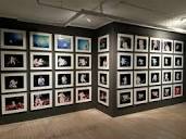 Gallery: Microscope Gallery | Collector Daily