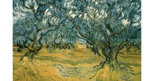Olive Trees Giclee Print Vincent Van Gogh Allposters Com In 2020 Van Gogh Olive Trees Van Gogh Art Vincent Van Gogh Paintings