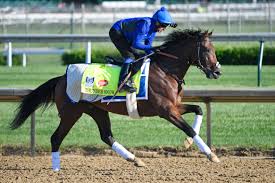 foreign born horses are a mystery at the kentucky derby 100