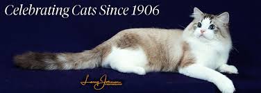 326 reviews 5,000+ verified ratings The Cat Fanciers Association Inc World S Largest Registry Of Pedigreed Cats