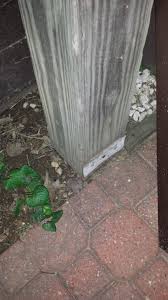 After digging the hole, all you need to do is mix your cement and let it set. Deck Posts Set In Concrete Or Use Anchors Home Improvement Stack Exchange