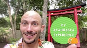 Another common ingredient in ayahuasca is the shrub psychotria viridis which contains the primary psychoactive, dimethyltryptamine (dmt). The Worst Night Of My Life My Ayahuasca Experience