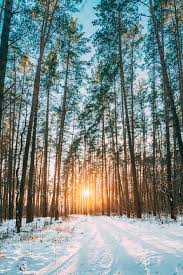 Mobile wallpaper 4k wallpaper 2540 x 1440. Best Ultra Hd Wallpapers 1080p For Mobile Az Quotes