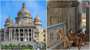 Canine-free Vidhana Soudha? Karnataka MLAs urge Speaker to 'save' them from  stray dogs