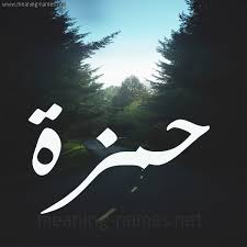 اسم حمزة في المنام اسماء حمزة في المنام اغراء القلوب