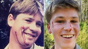 Bob irwin & the pluto walkers. Robert Irwin In Terrifying Crocodile Encounter As Bindi Irwin Shares Baby Update 7news Com Au