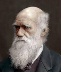 Charles Robert Darwin