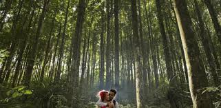 Untuk kamu yang ingin melaksanakan prewedding di kota budaya, kota pelajar ini, berikut 4 lokasi prewedding yang berbayar yang harus kamu tahu. 7 Lokasi Foto Pre Wedding Terbaik Di Kota Bogor Wedding Market