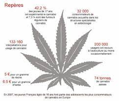 En france, le débat sur la légalisation du cannabis est relancé après la publication d'un rapport du conseil d'analyse économique. Marijuana In France Production Possession Sale Purchase
