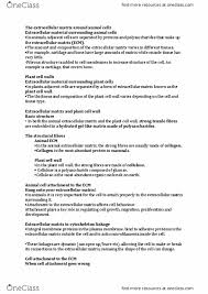 We did not find results for: Biol1004 Lecture Notes Spring 2018 Lecture 12 The Plant Cell Plant Cell Cell Membrane