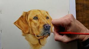How To Paint A Dog In Watercolor Video Watercolor Paintings Tutorials Videos Watercolor Paintings Tutorials Art Painting