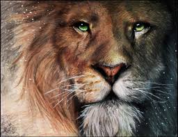 1 attributes 2 history 2.1 creation of narnia 2.2 winter. Chronicles Of Narnia Quotes Aslan Quotesgram