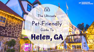 Pet friendly north georgia cabins are available for your next blue ridge vacation with georgia mtn cabin rentals. The Ultimate Guide To The Best Pet Friendly Things To Do In Helen Ga