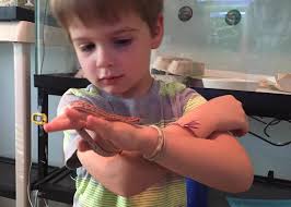 This one wanted it's picture Taken