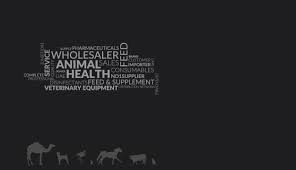 We did not find results for: Veterinary Supplier In Dubai Vet Pharmaceuticals Eurovets World