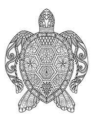 Mare coloring page desenho de égua warmblood para colorir kolorowanka koń. Kolorowanki Relaksacyjne Dla Doroslych Do Wydruku Mandale