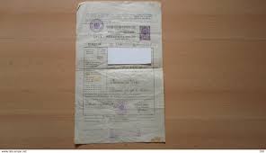 Pamacs, az apró kis lovacska eltökélt, ő is szánhúzó. Gesetze Erlasse Sentjur Pri Celju Jelce Dobje Smarje Pri Jelsah Zivinski Potni List Animal Passport Kraljevina Jugoslavija