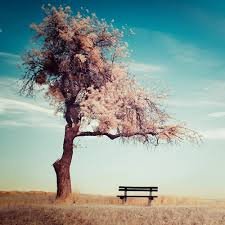 Thomas et sonia vont à l'école. 41 Verbe Manger By Hamid Nessek