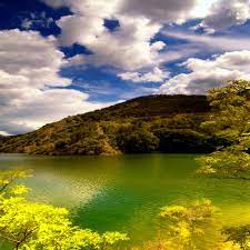 Also, you do not have to download any program to your computer or app to your phone. Beautiful Wallpapers Download Group 80