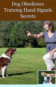 He loved it and it taught him (and me) how to do the basic commands. 1 Clicker Training Petsmart And Puppy Training Obedience Check Out The Picture For Many Tips On House Training Dogs Dog Obedience Dog Training Obedience