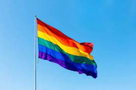 The colors, according to the philadelphia office of lgbt affairs' more color more. The History Of Pride Month Texas A M Today