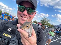 We hope you don't go 𝙣𝒖𝙩𝒔 trying to Spot the Differences between these  two photos... 😉 After all, Squirrels just wanna have fun! 🌰 🐿️