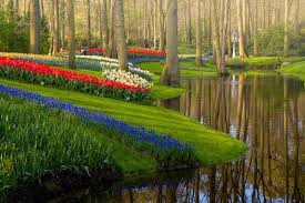 Maybe you would like to learn more about one of these? Ditutup Begini Pemandangan Taman Bunga Terindah Di Dunia Keukenhof Tanpa Pengunjung Halaman 3 Merdeka Com