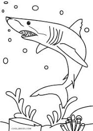 Here you can explore hq nurse shark transparent illustrations, icons and clipart with filter setting like size, type, color etc. Free Printable Shark Coloring Pages For Kids