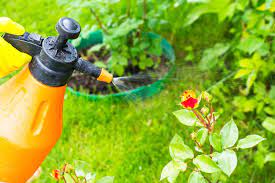 Most natural or organic method gardeners are willing to tolerate some level of pest or disease damage in order to avoid using more toxic synthetic controls. The Best Organic Garden Pest Control Mymove