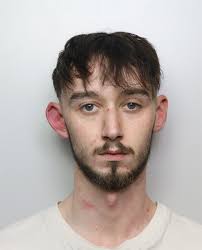 WARNING GRAPHIC CONTENT: Man jailed in connection with multiple burglaries 