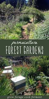 Permaculture 101 What Is A Forest Garden In 2020 Food Forest Garden Forest Garden Permaculture Gardening
