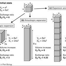 We did not find results for: Pdf Plant Cell Size Control Growing By Ploidy