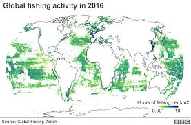 Worlds Fishing Fleets Mapped From Orbit Bbc News